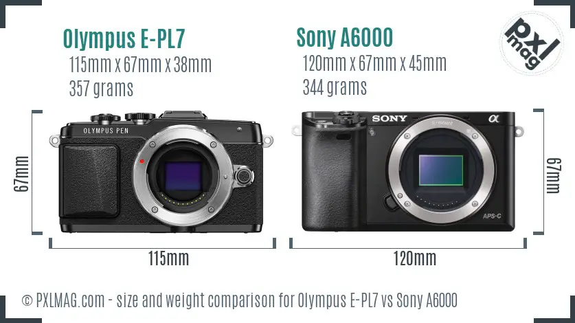 Olympus E-PL7 vs Sony A6000 size comparison