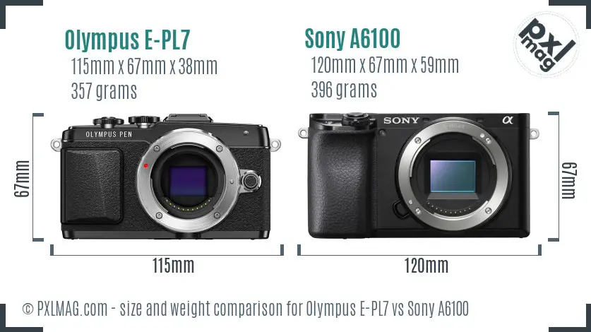 Olympus E-PL7 vs Sony A6100 size comparison