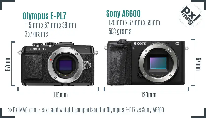 Olympus E-PL7 vs Sony A6600 size comparison