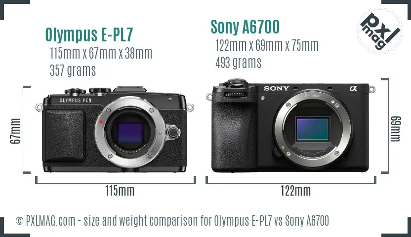 Olympus E-PL7 vs Sony A6700 size comparison Olympus E-PL7 vs Sony A6700 size comparison