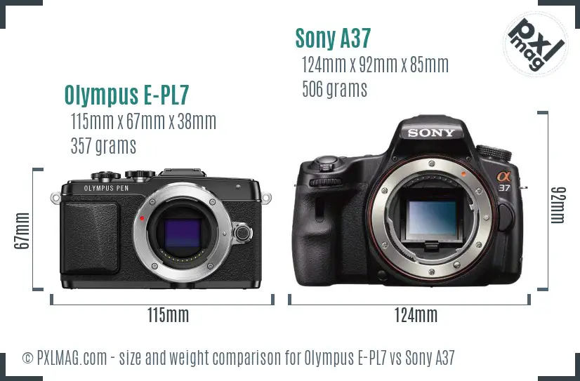 Olympus E-PL7 vs Sony A37 size comparison