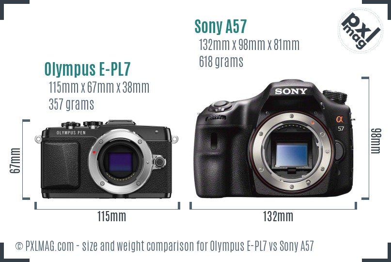 Olympus E-PL7 vs Sony A57 size comparison Olympus E-PL7 vs Sony A57 size comparison