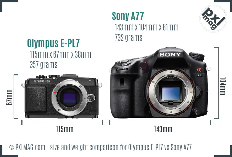 Olympus E-PL7 vs Sony A77 size comparison