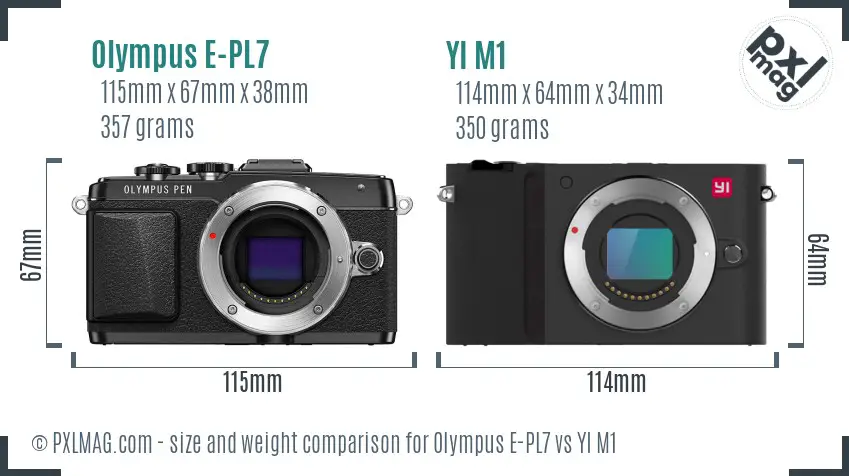 Olympus E-PL7 vs YI M1 size comparison
