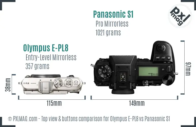 Olympus E-PL8 vs Panasonic S1 top view buttons comparison