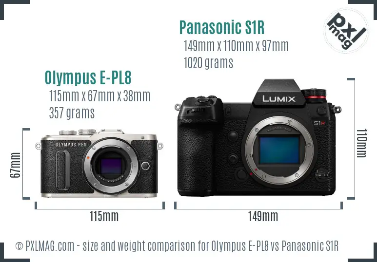 Olympus E-PL8 vs Panasonic S1R size comparison
