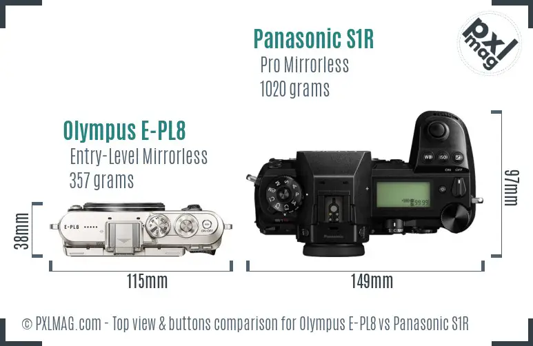 Olympus E-PL8 vs Panasonic S1R top view buttons comparison