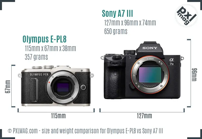 Olympus E-PL8 vs Sony A7 III size comparison