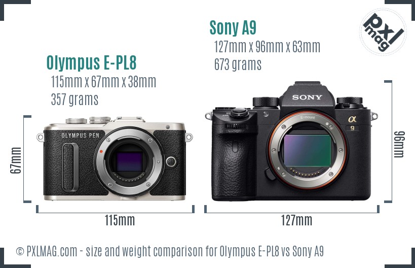 Olympus E-PL8 vs Sony A9 size comparison