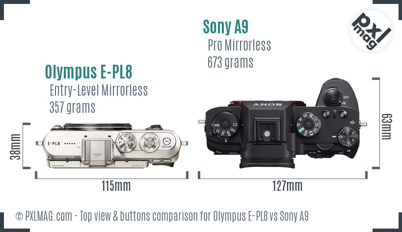 Olympus E-PL8 vs Sony A9 top view buttons comparison