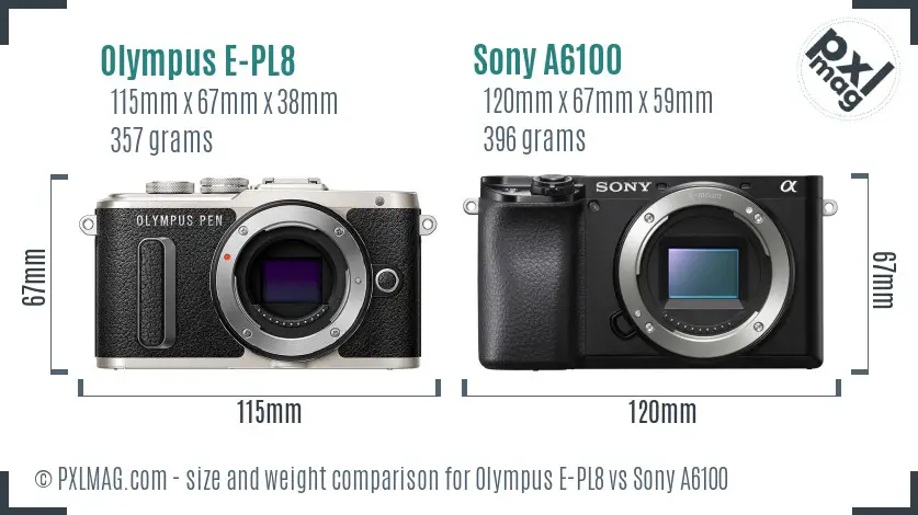 Olympus E-PL8 vs Sony A6100 size comparison Olympus E-PL8 vs Sony A6100 size comparison