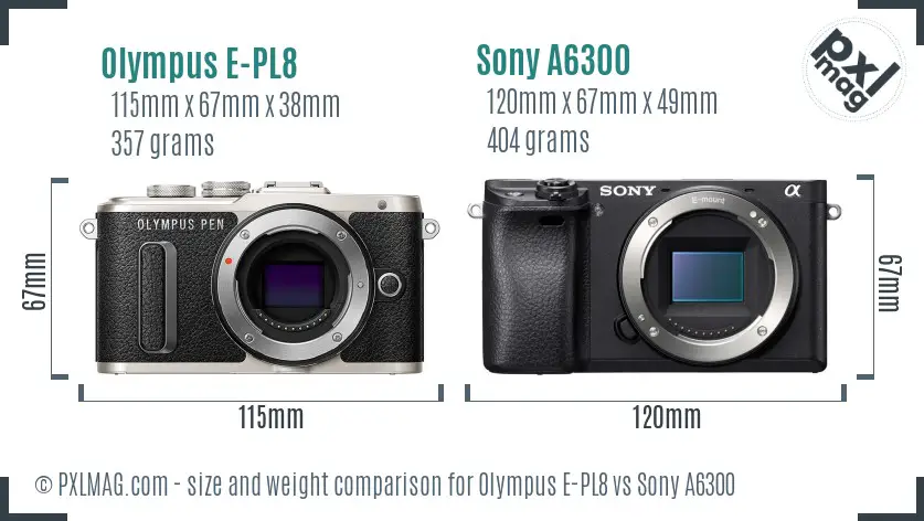 Olympus E-PL8 vs Sony A6300 size comparison