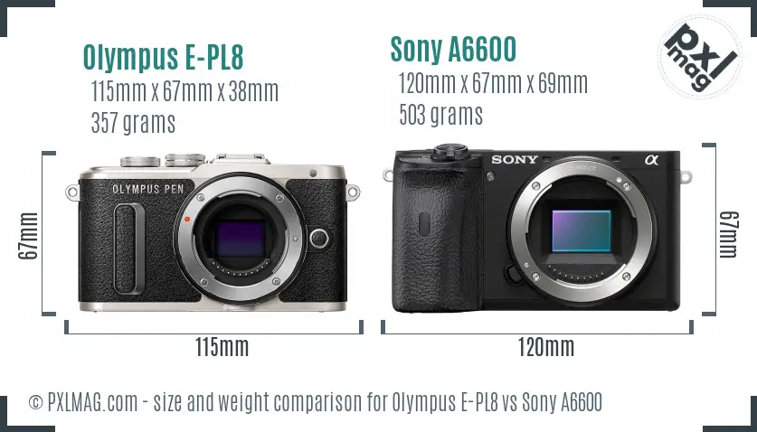 Olympus E-PL8 vs Sony A6600 size comparison