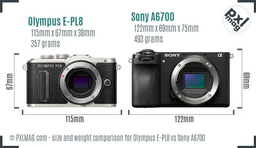 Olympus E-PL8 vs Sony A6700 size comparison