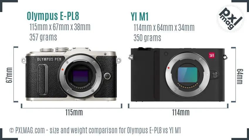 Olympus E-PL8 vs YI M1 size comparison