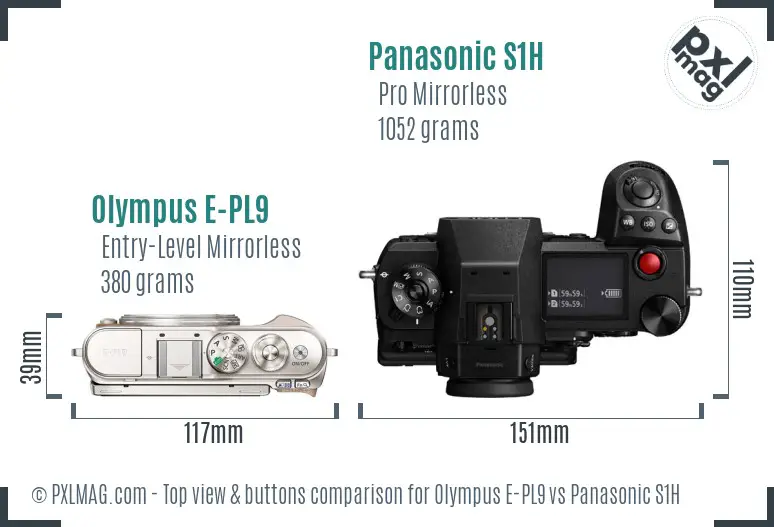 Olympus E-PL9 vs Panasonic S1H top view buttons comparison