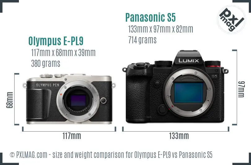 Olympus E-PL9 vs Panasonic S5 size comparison