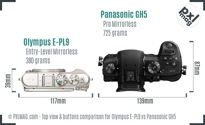 Olympus E-PL9 vs Panasonic GH5 top view buttons comparison