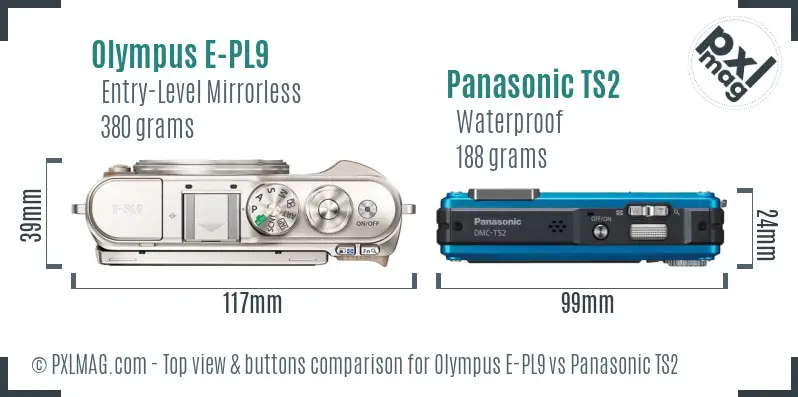 Olympus E-PL9 vs Panasonic TS2 top view buttons comparison