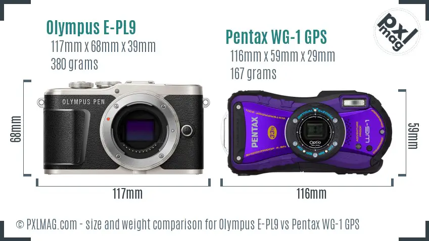 Olympus E-PL9 vs Pentax WG-1 GPS size comparison