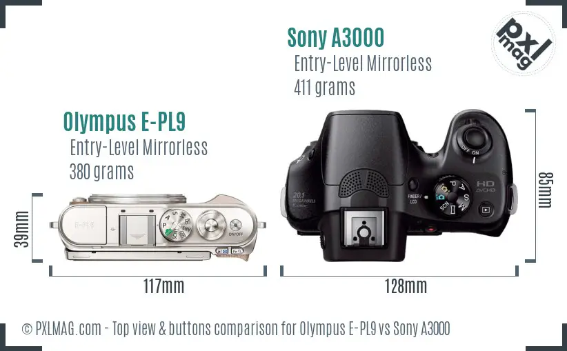 Olympus E-PL9 vs Sony A3000 top view buttons comparison