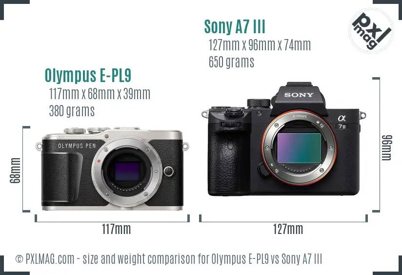 Olympus E-PL9 vs Sony A7 III size comparison Olympus E-PL9 vs Sony A7 III size comparison