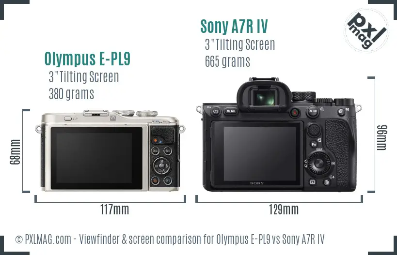 Olympus E-PL9 vs Sony A7R IV Screen and Viewfinder comparison
