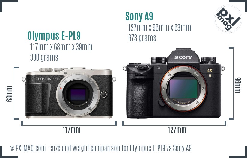 Olympus E-PL9 vs Sony A9 size comparison