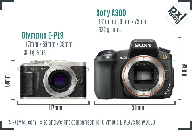 Olympus E-PL9 vs Sony A300 size comparison