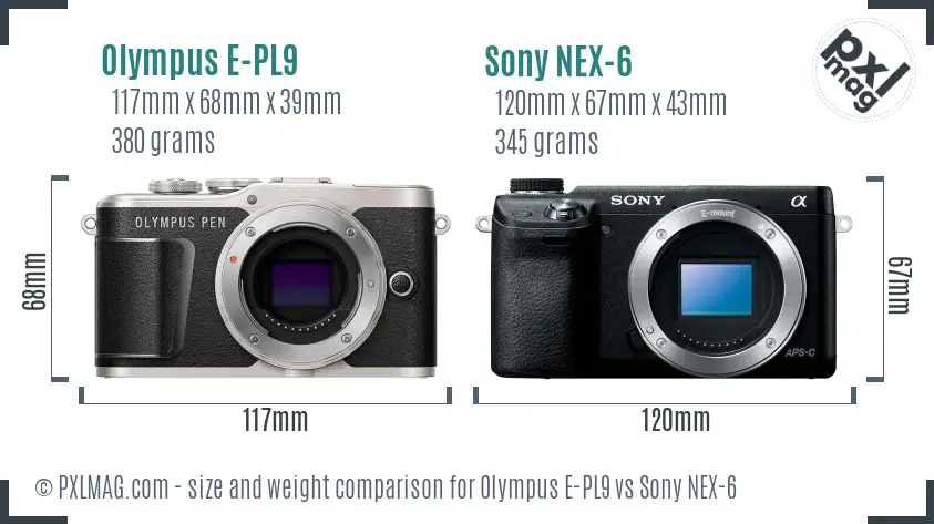 Olympus E-PL9 vs Sony NEX-6 size comparison