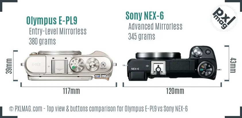 Olympus E-PL9 vs Sony NEX-6 top view buttons comparison