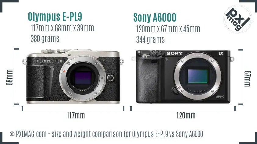 Olympus E-PL9 vs Sony A6000 size comparison Olympus E-PL9 vs Sony A6000 size comparison