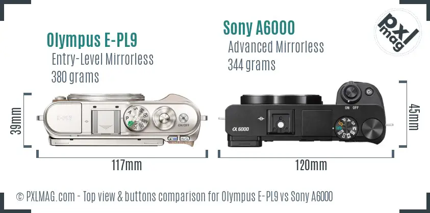Olympus E-PL9 vs Sony A6000 top view buttons comparison Olympus E-PL9 vs Sony A6000 top view buttons comparison