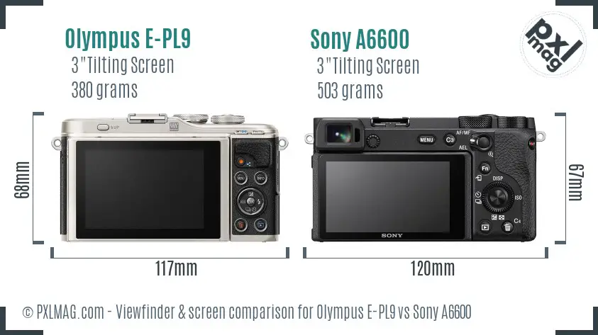 Olympus E-PL9 vs Sony A6600 Screen and Viewfinder comparison