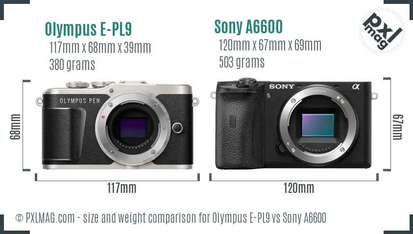 Olympus E-PL9 vs Sony A6600 size comparison