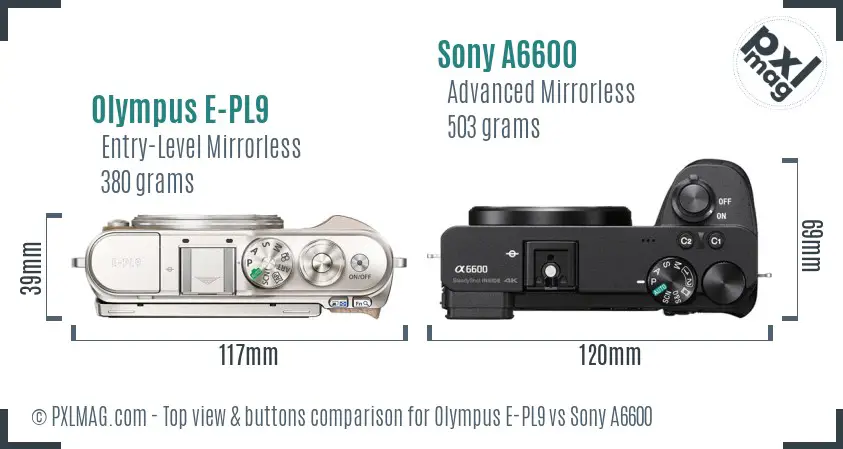 Olympus E-PL9 vs Sony A6600 top view buttons comparison
