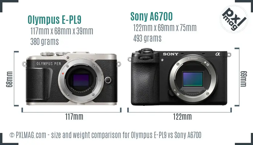 Olympus E-PL9 vs Sony A6700 size comparison