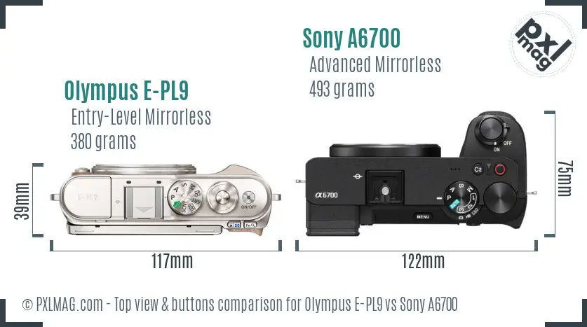 Olympus E-PL9 vs Sony A6700 top view buttons comparison