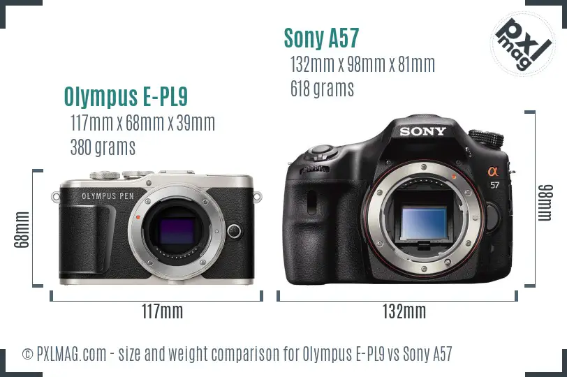 Olympus E-PL9 vs Sony A57 size comparison