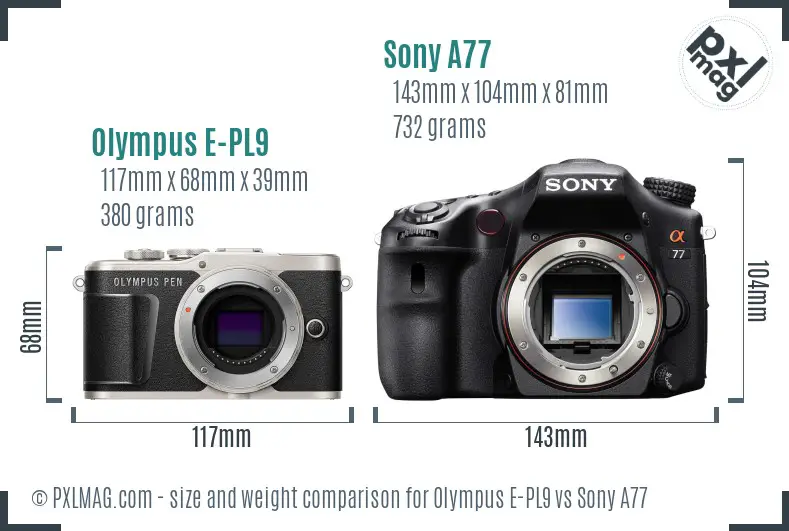 Olympus E-PL9 vs Sony A77 size comparison Olympus E-PL9 vs Sony A77 size comparison