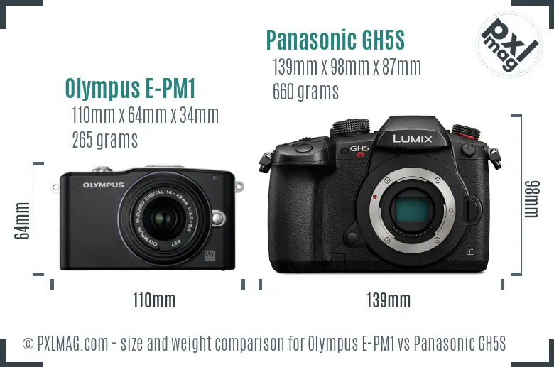 Olympus E-PM1 vs Panasonic GH5S size comparison
