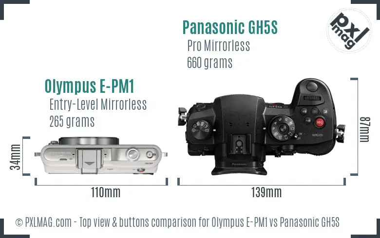 Olympus E-PM1 vs Panasonic GH5S top view buttons comparison