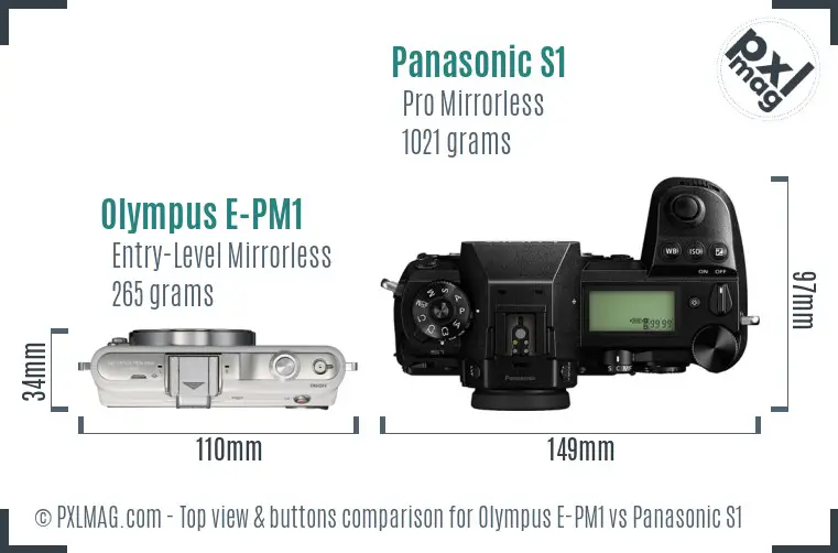 Olympus E-PM1 vs Panasonic S1 top view buttons comparison