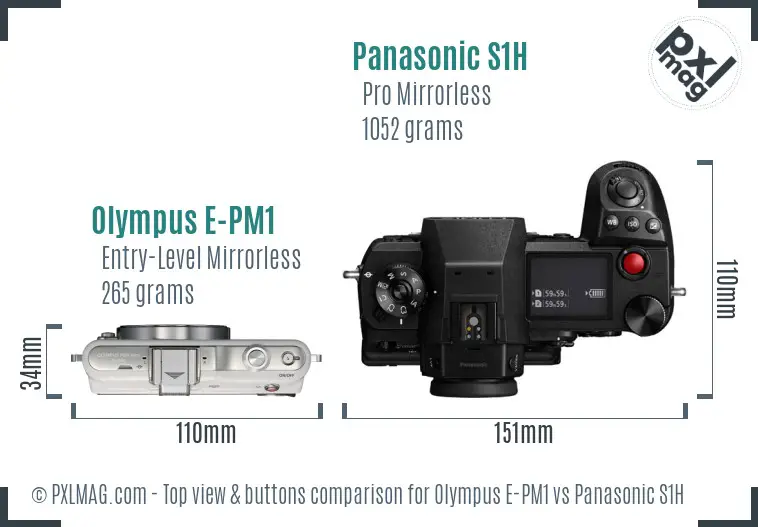 Olympus E-PM1 vs Panasonic S1H top view buttons comparison