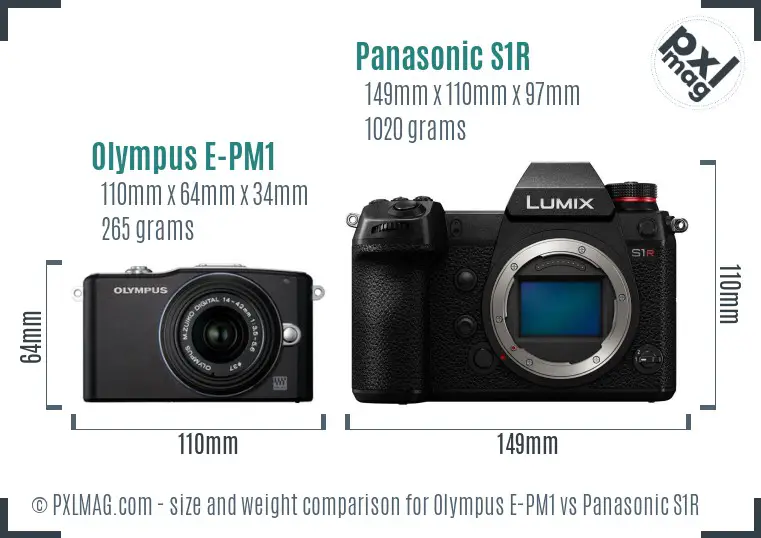 Olympus E-PM1 vs Panasonic S1R size comparison