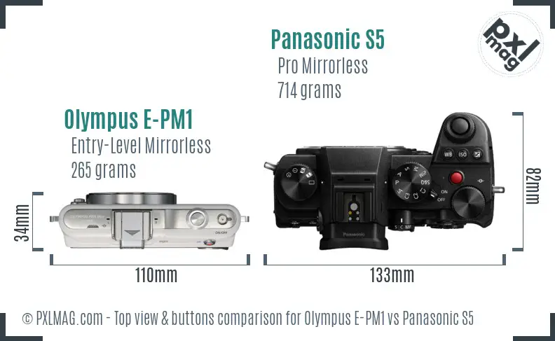 Olympus E-PM1 vs Panasonic S5 top view buttons comparison