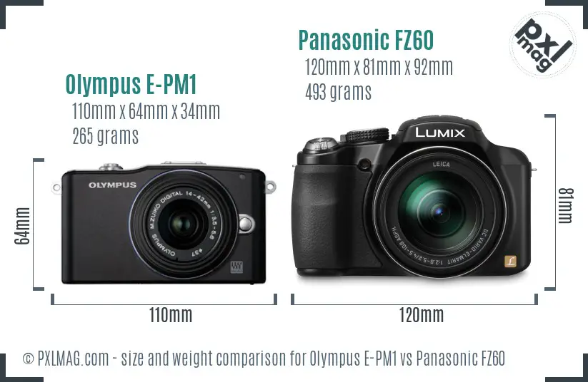 Olympus E-PM1 vs Panasonic FZ60 size comparison