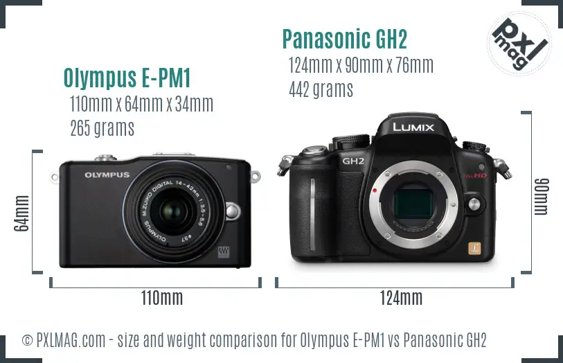 Olympus E-PM1 vs Panasonic GH2 size comparison