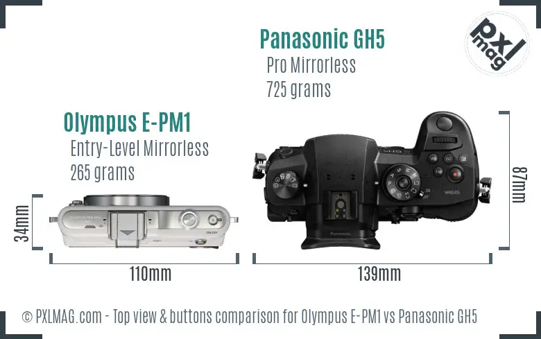 Olympus E-PM1 vs Panasonic GH5 top view buttons comparison