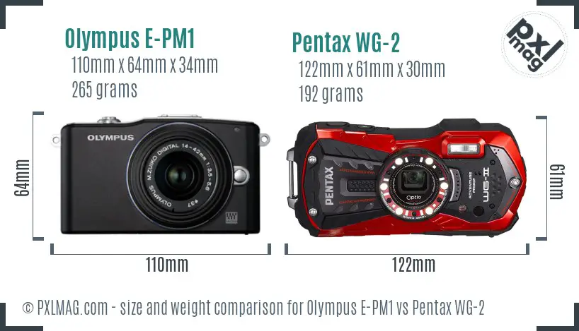 Olympus E-PM1 vs Pentax WG-2 size comparison